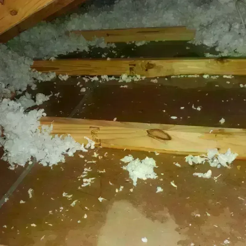 Attic Water Damage in Morrison, IL