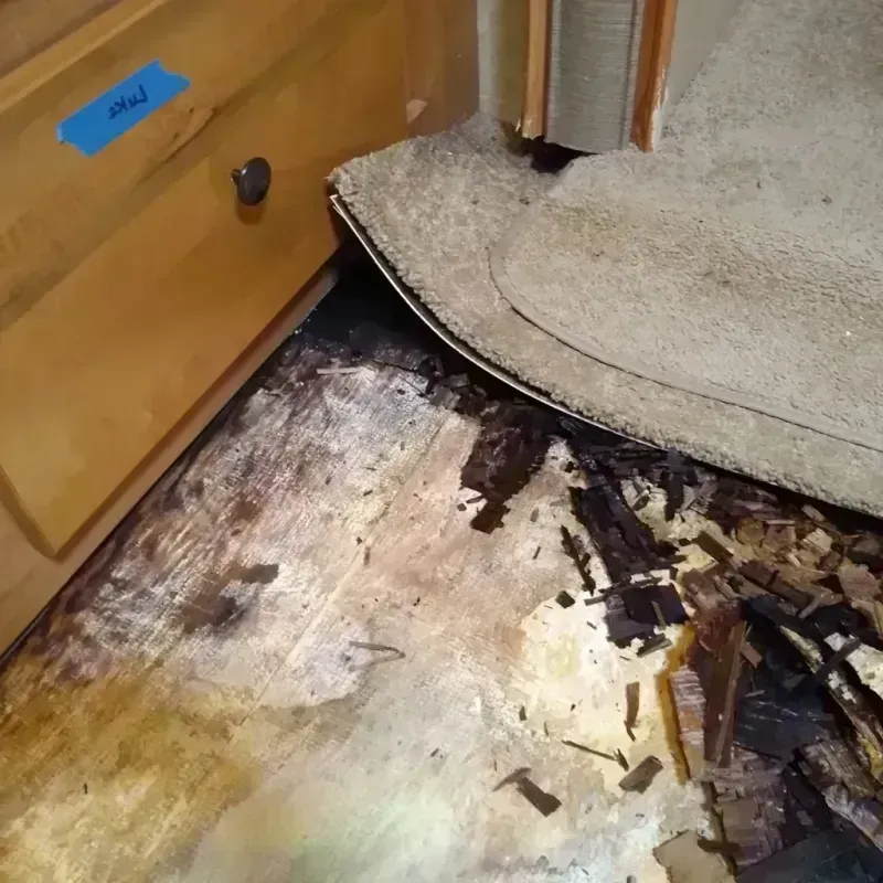 Wood Floor Water Damage in Morrison, IL